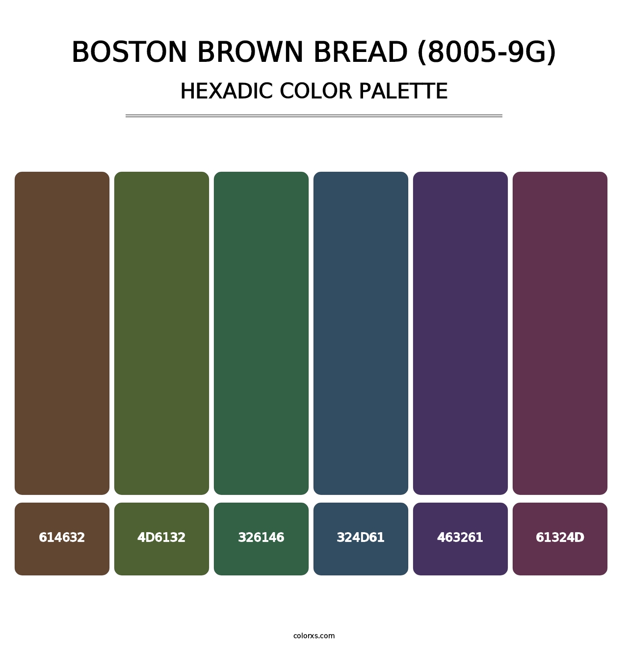 Boston Brown Bread (8005-9G) - Hexadic Color Palette