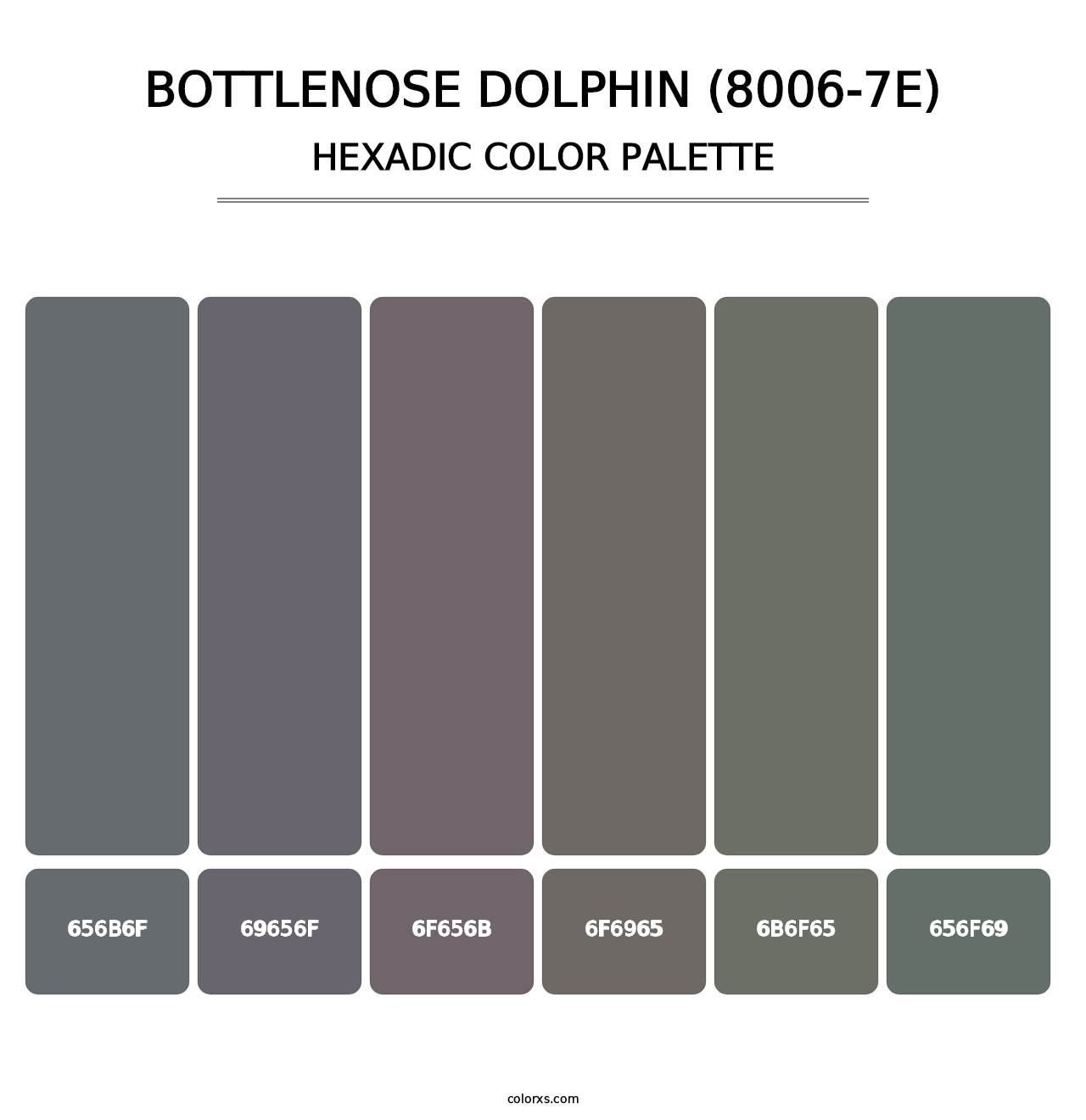 Bottlenose Dolphin (8006-7E) - Hexadic Color Palette