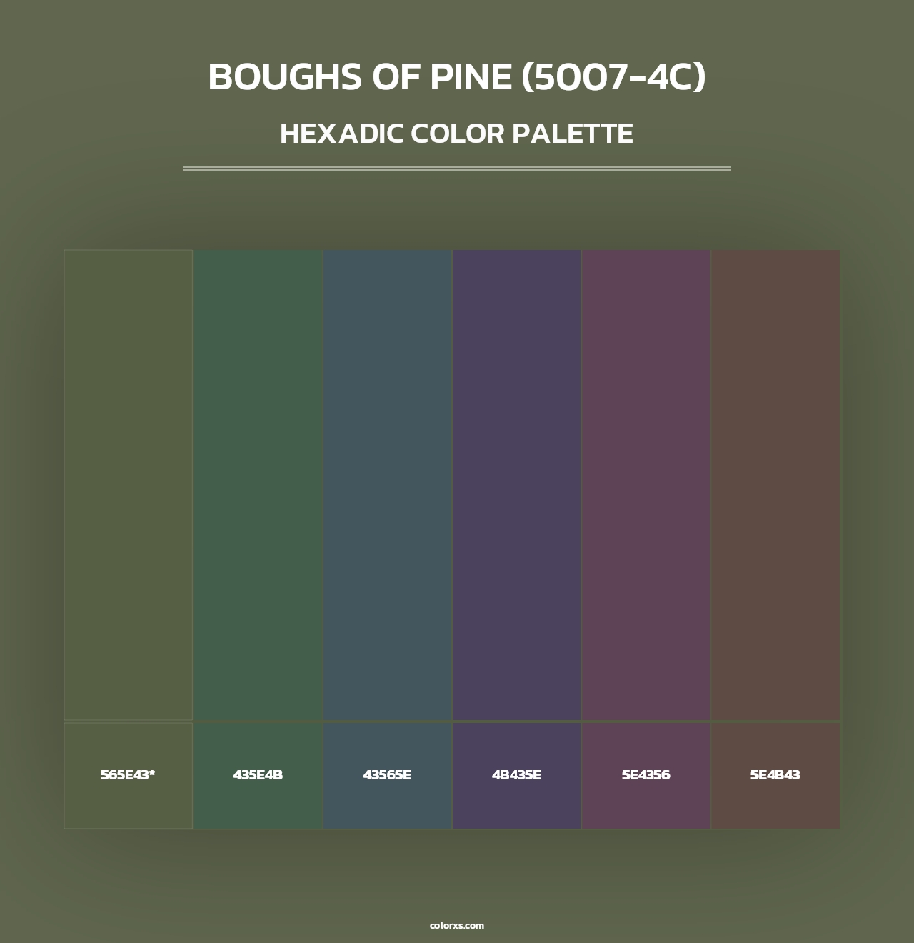 Boughs of Pine (5007-4C) - Hexadic Color Palette