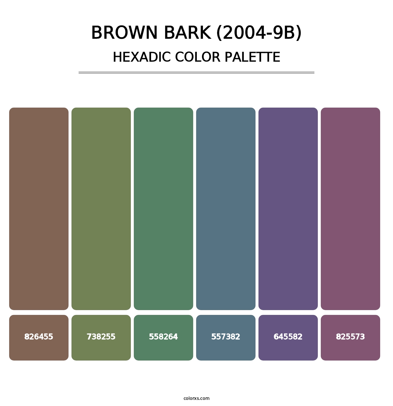Brown Bark (2004-9B) - Hexadic Color Palette