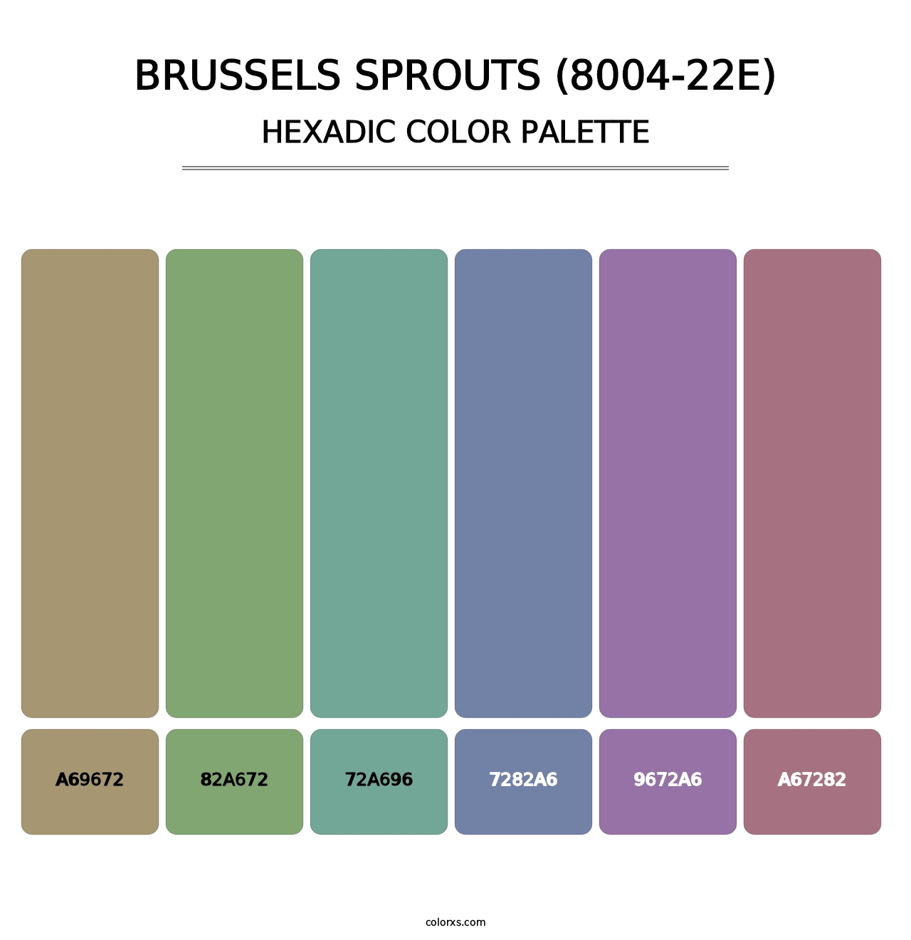 Brussels Sprouts (8004-22E) - Hexadic Color Palette