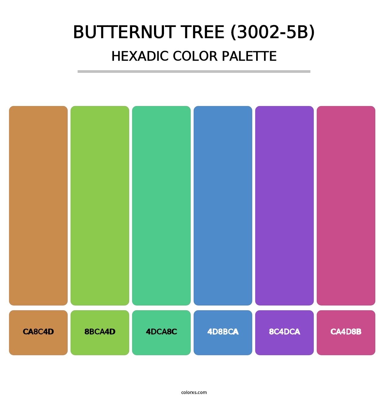 Butternut Tree (3002-5B) - Hexadic Color Palette