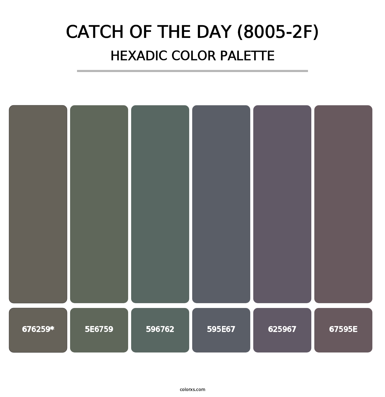 Catch of the Day (8005-2F) - Hexadic Color Palette
