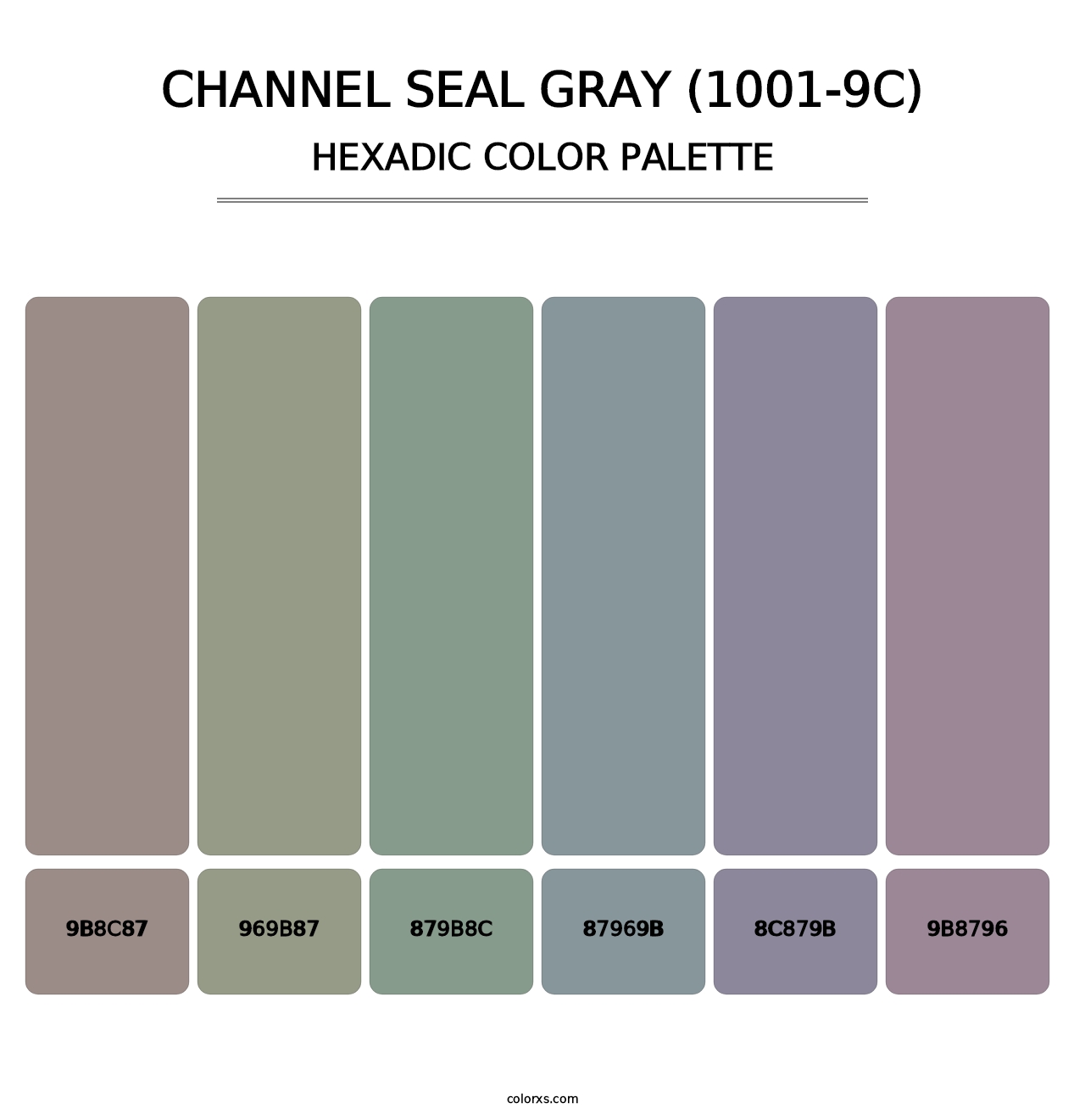 Channel Seal Gray (1001-9C) - Hexadic Color Palette