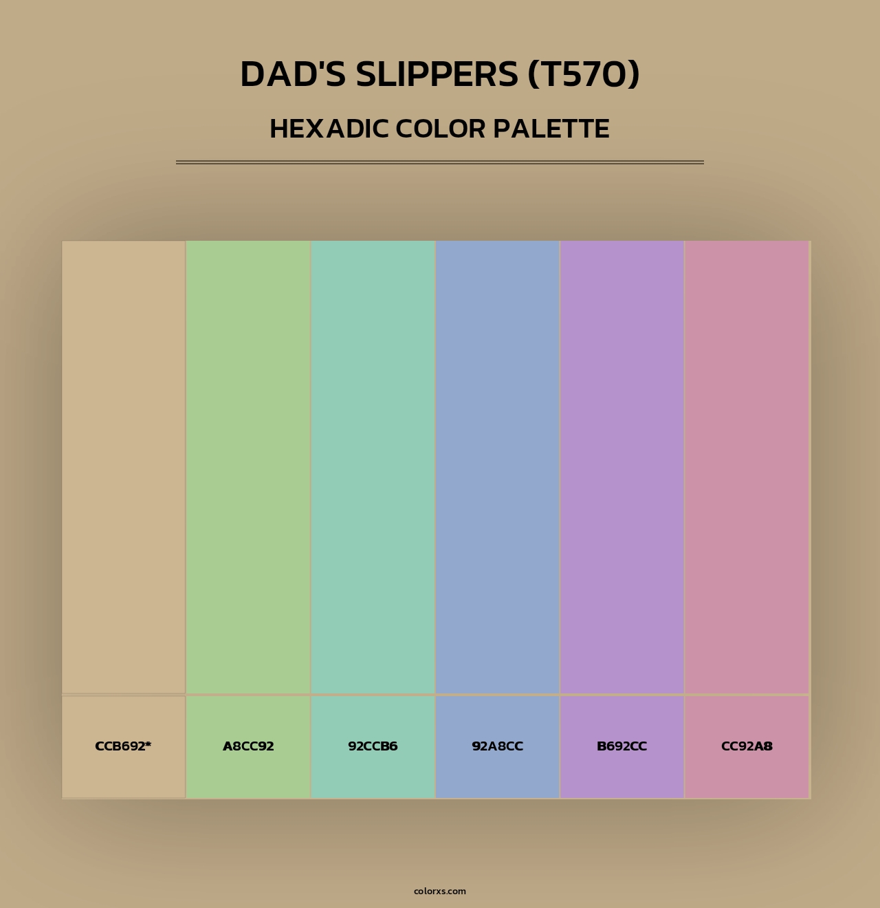 Dad's Slippers (T570) - Hexadic Color Palette
