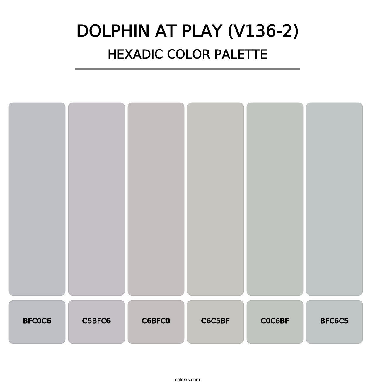 Dolphin at Play (V136-2) - Hexadic Color Palette