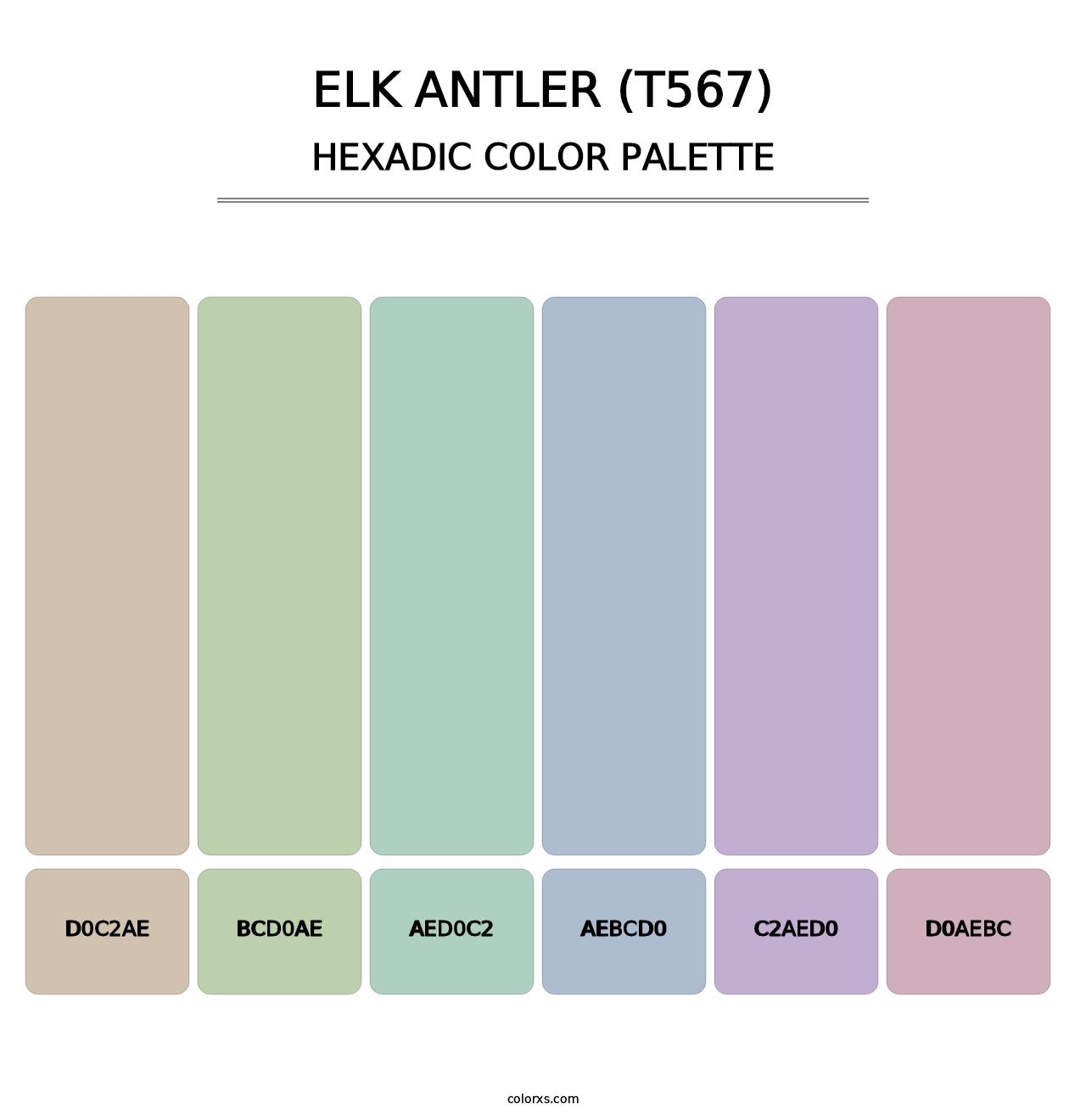 Elk Antler (T567) - Hexadic Color Palette