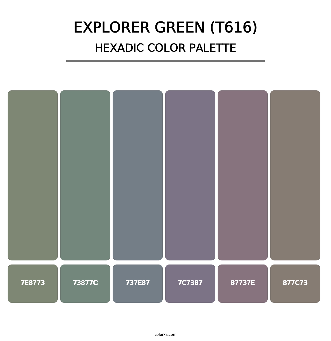 Explorer Green (T616) - Hexadic Color Palette