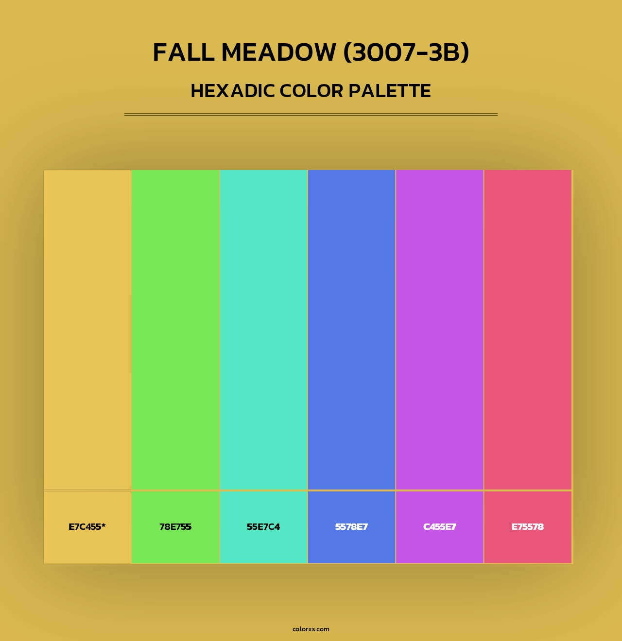Fall Meadow (3007-3B) - Hexadic Color Palette