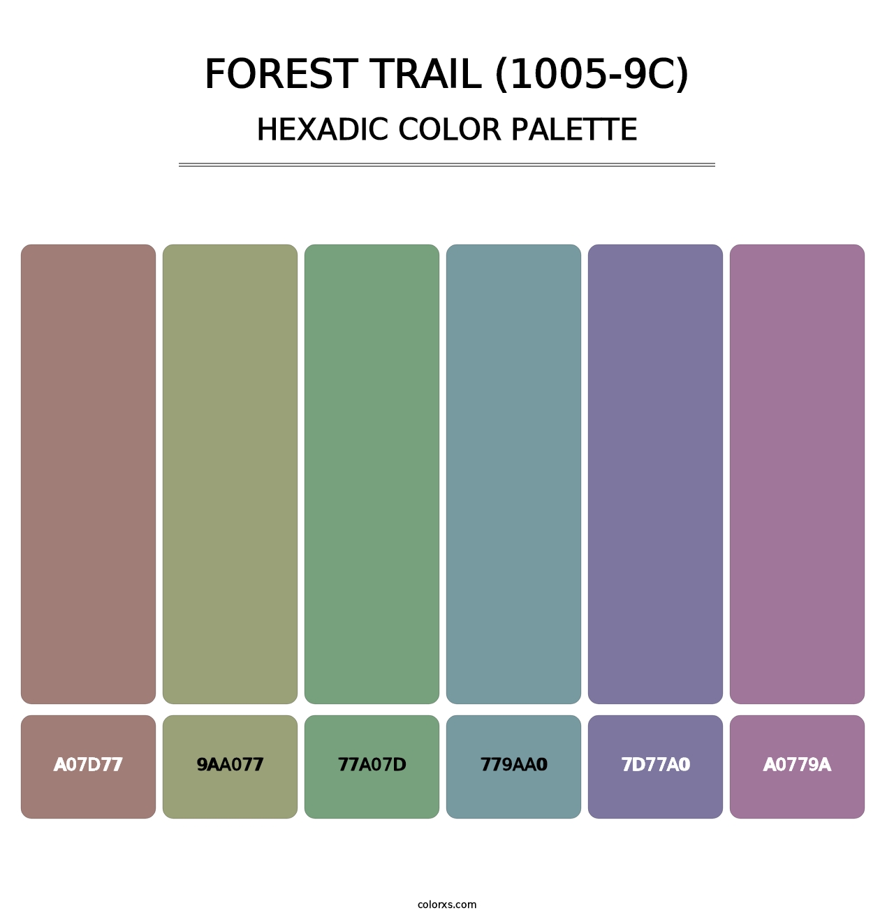 Forest Trail (1005-9C) - Hexadic Color Palette