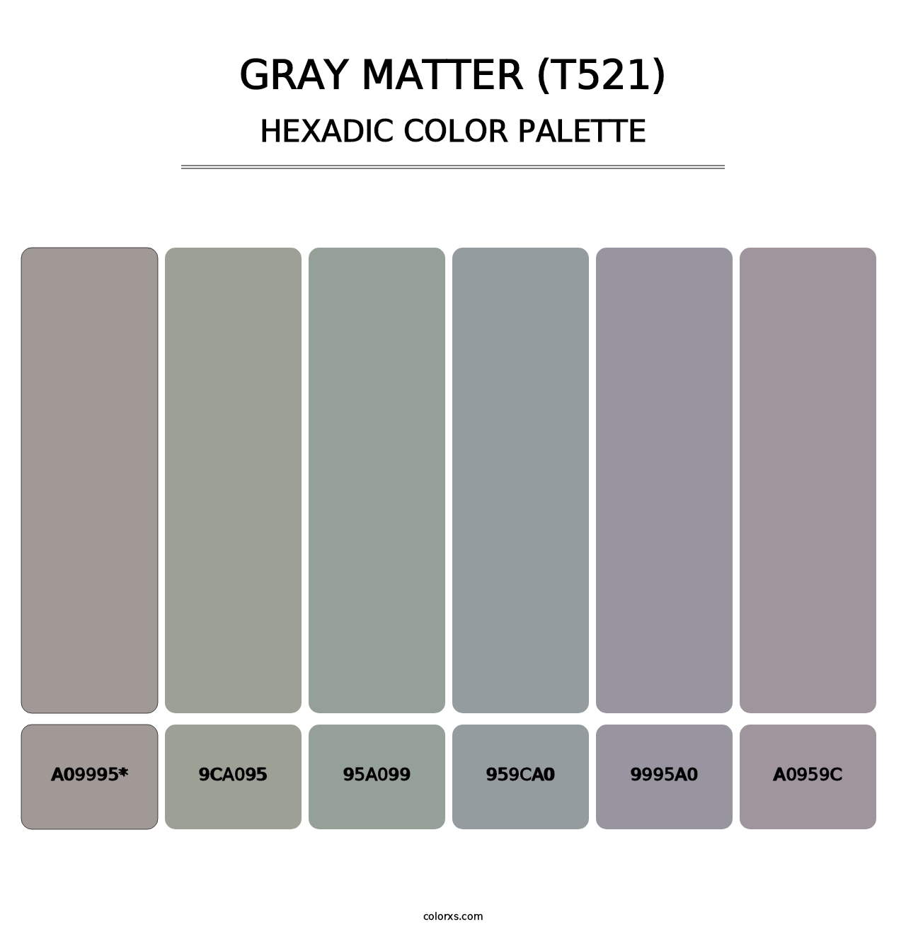 Gray Matter (T521) - Hexadic Color Palette