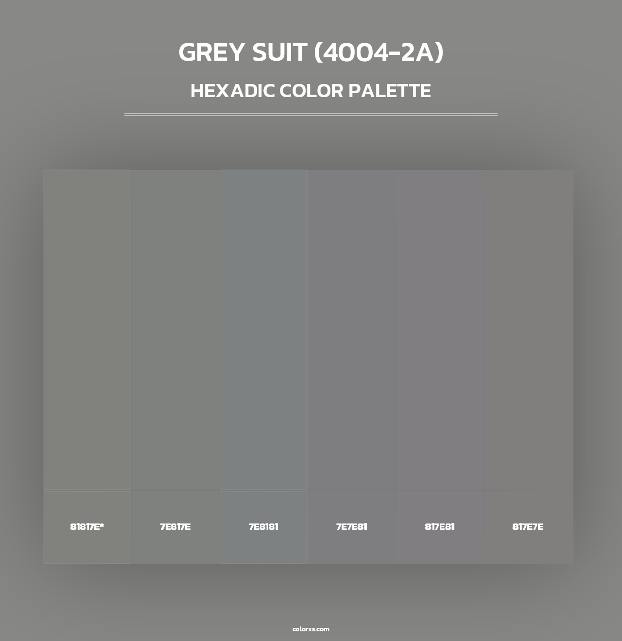 Grey Suit (4004-2A) - Hexadic Color Palette