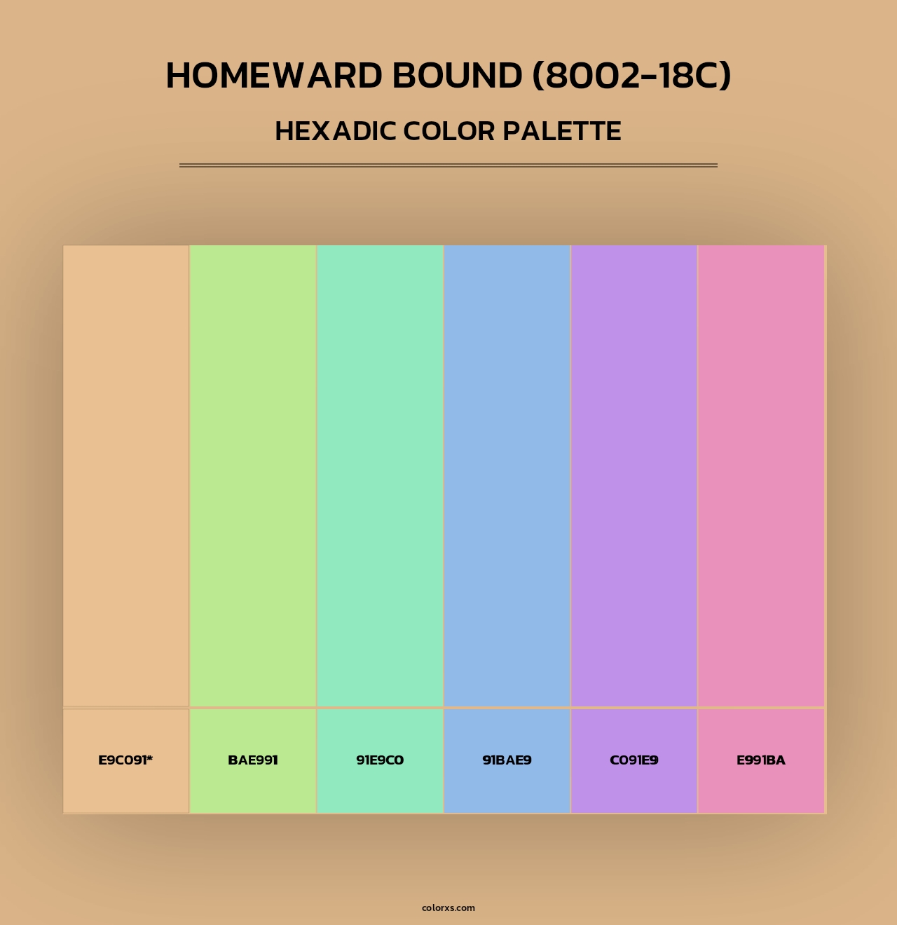 Homeward Bound (8002-18C) - Hexadic Color Palette