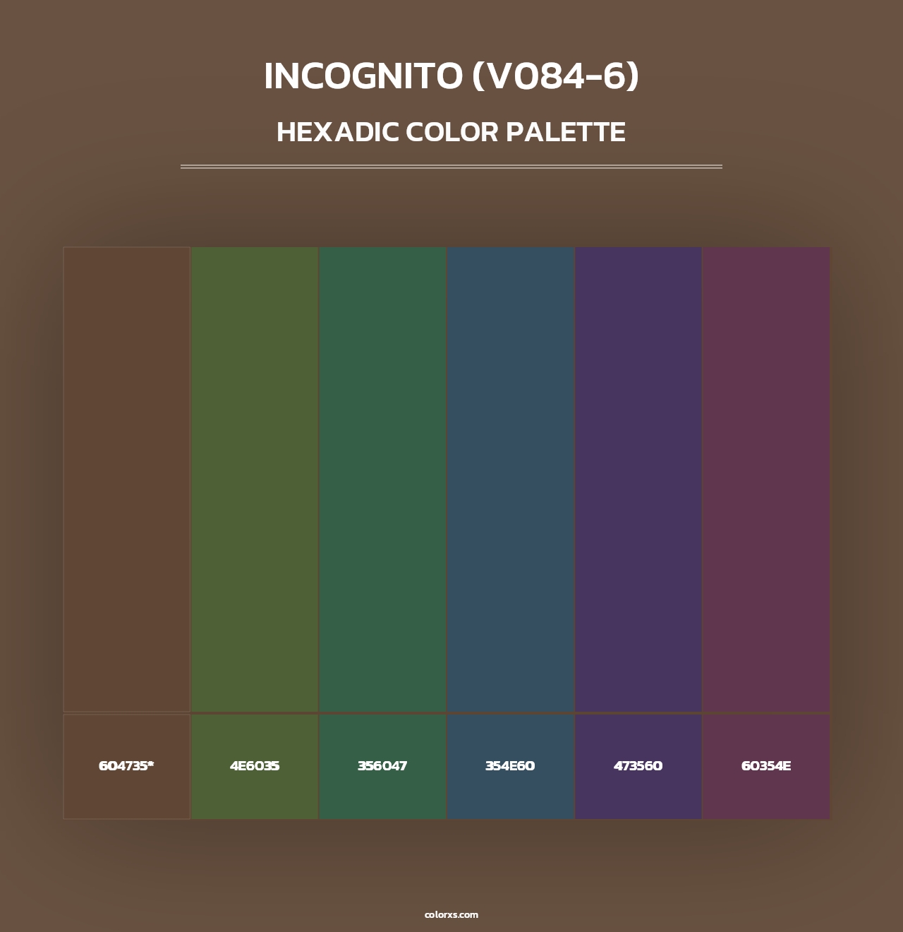 Incognito (V084-6) - Hexadic Color Palette