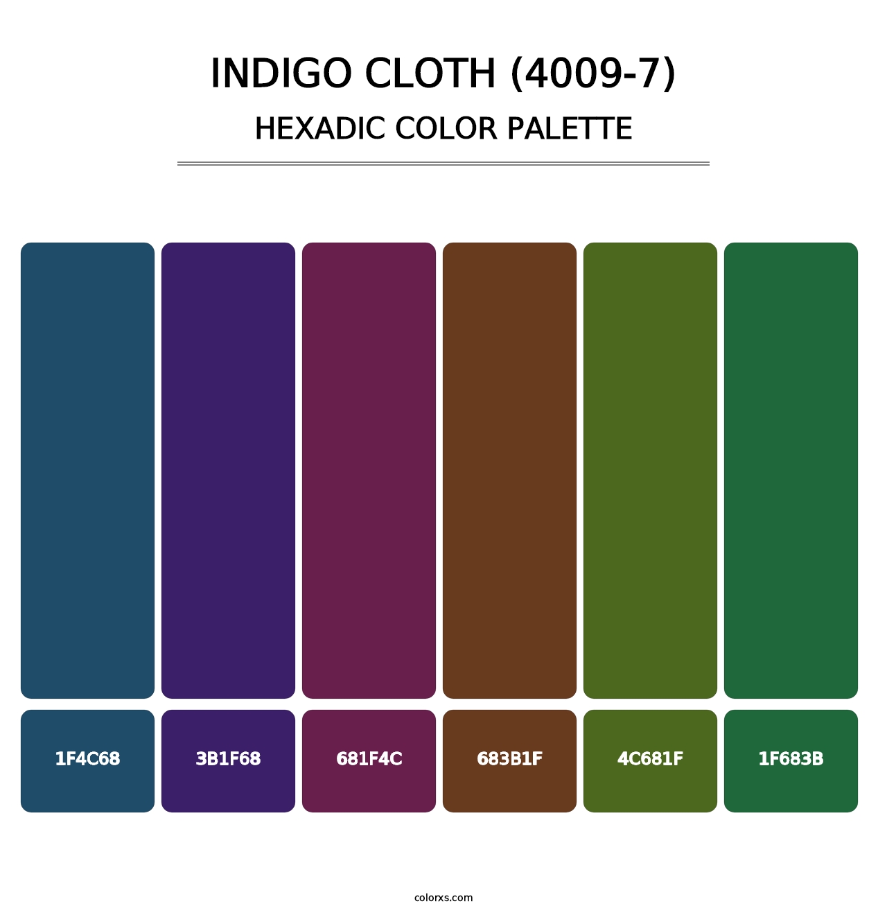 Indigo Cloth (4009-7) - Hexadic Color Palette