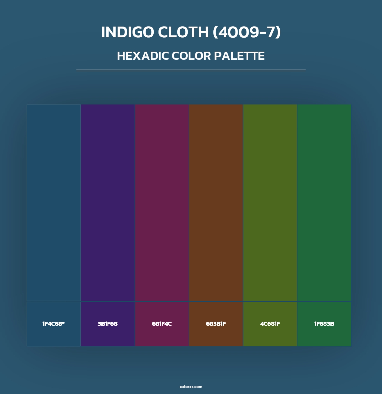Indigo Cloth (4009-7) - Hexadic Color Palette