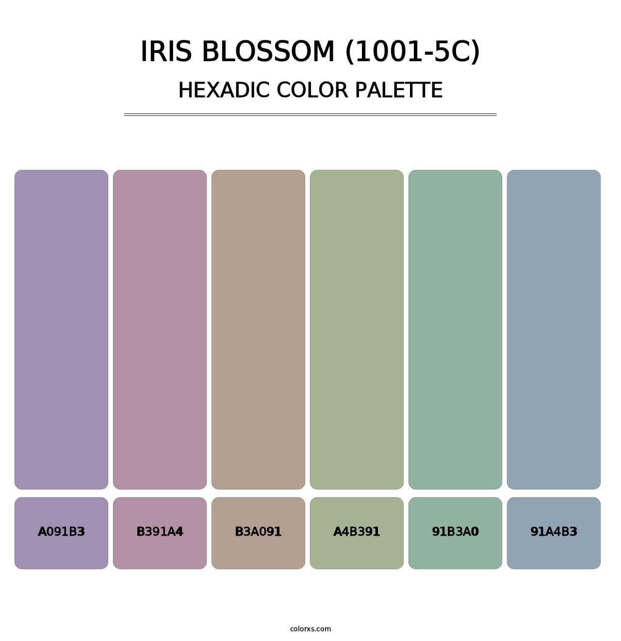 Iris Blossom (1001-5C) - Hexadic Color Palette