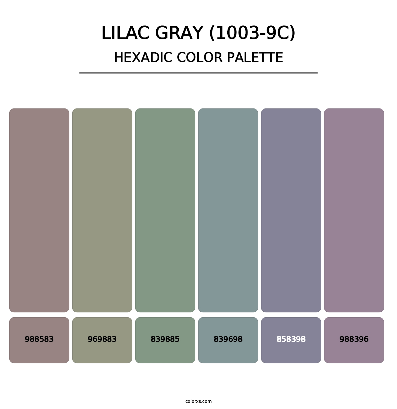 Lilac Gray (1003-9C) - Hexadic Color Palette
