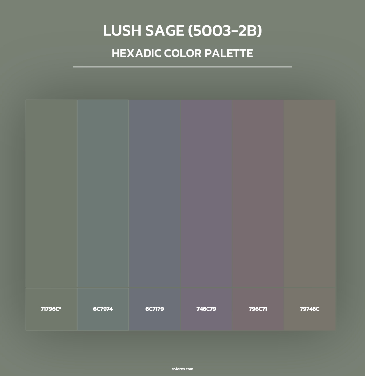 Lush Sage (5003-2B) - Hexadic Color Palette