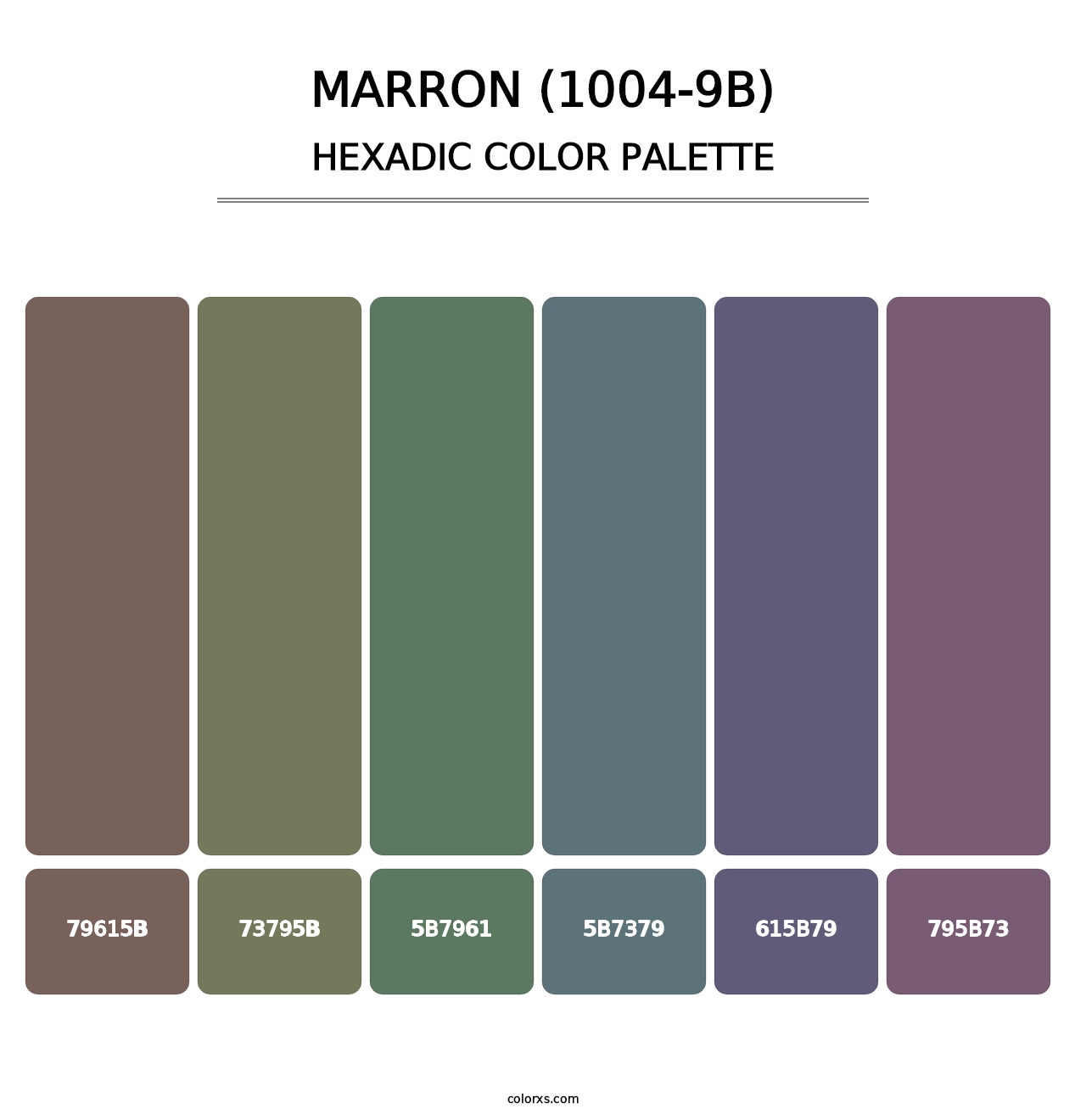 Marron (1004-9B) - Hexadic Color Palette
