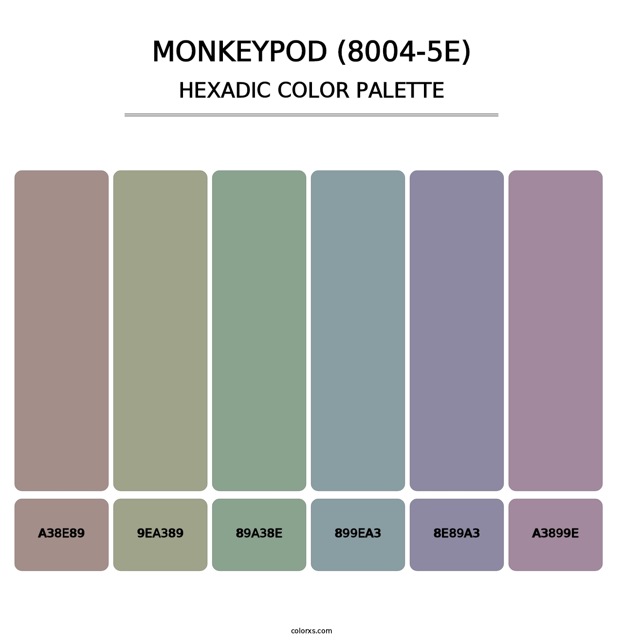 Monkeypod (8004-5E) - Hexadic Color Palette