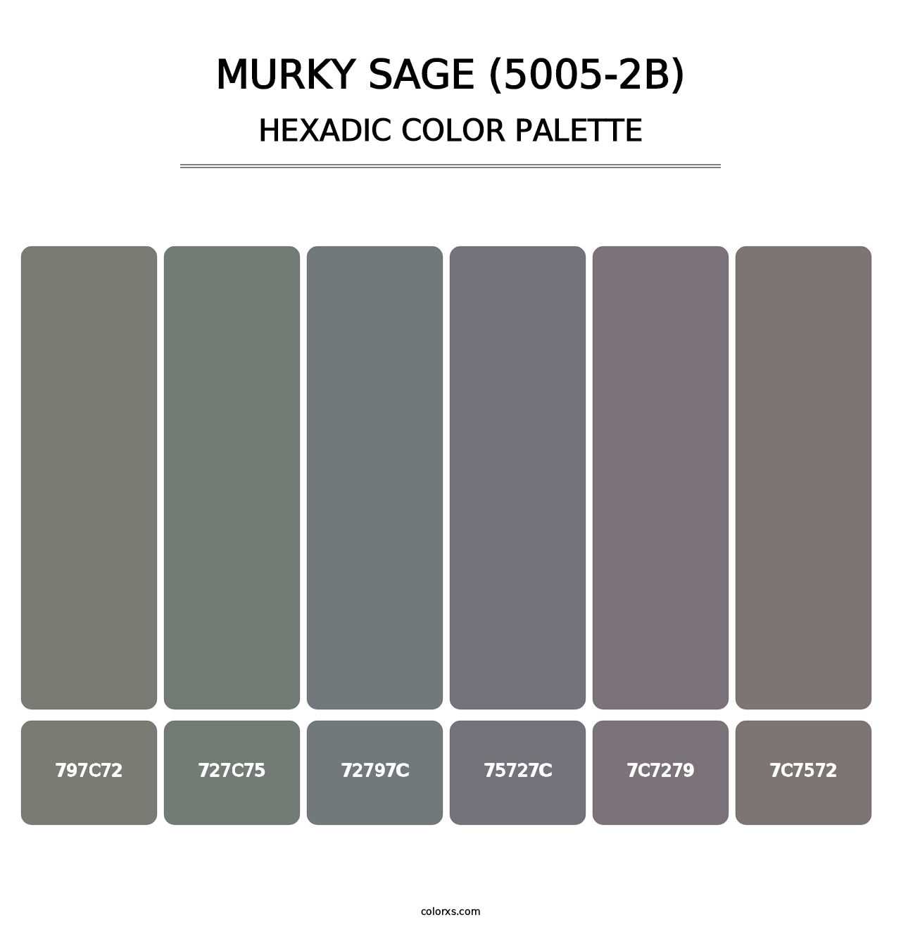 Murky Sage (5005-2B) - Hexadic Color Palette
