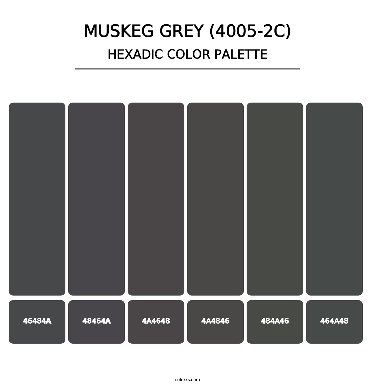 Muskeg Grey (4005-2C) - Hexadic Color Palette