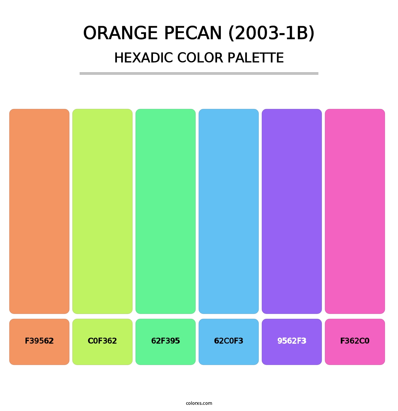Orange Pecan (2003-1B) - Hexadic Color Palette