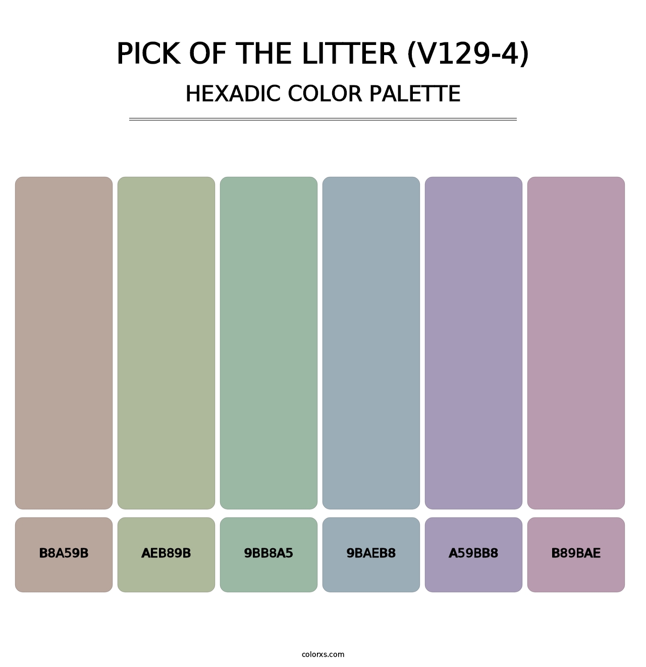 Pick of the Litter (V129-4) - Hexadic Color Palette