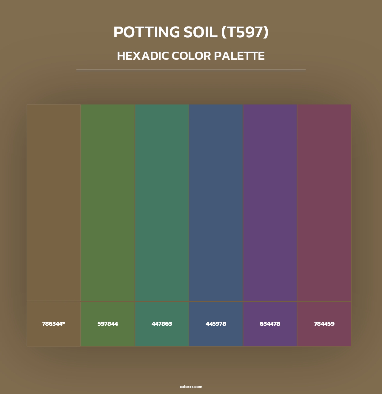Potting Soil (T597) - Hexadic Color Palette