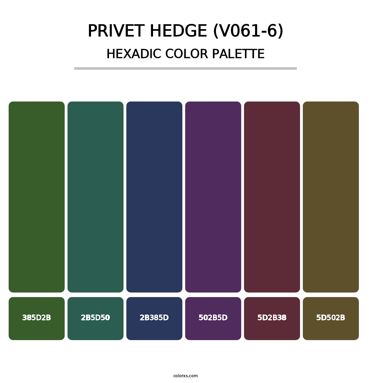 Privet Hedge (V061-6) - Hexadic Color Palette