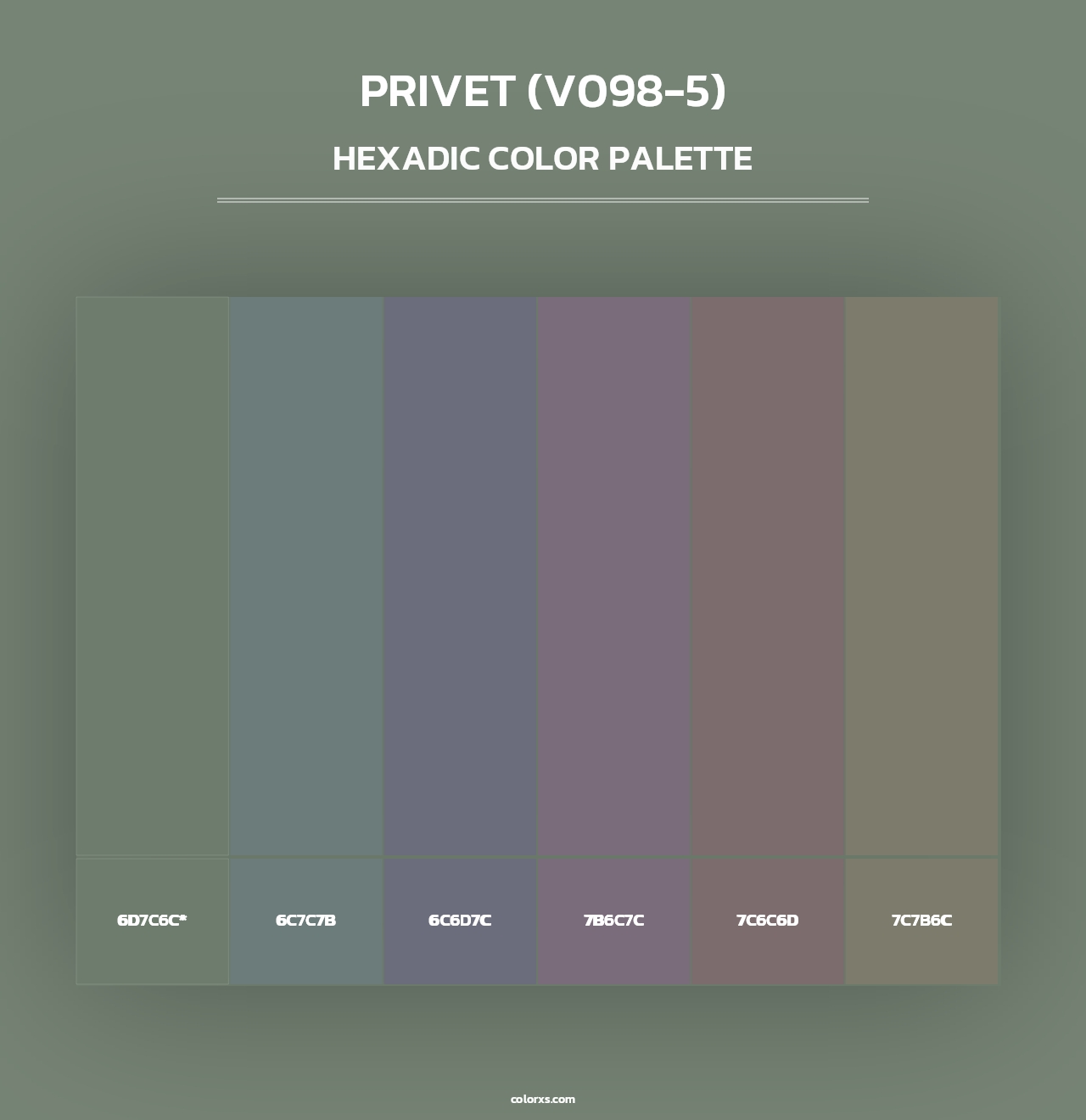 Privet (V098-5) - Hexadic Color Palette