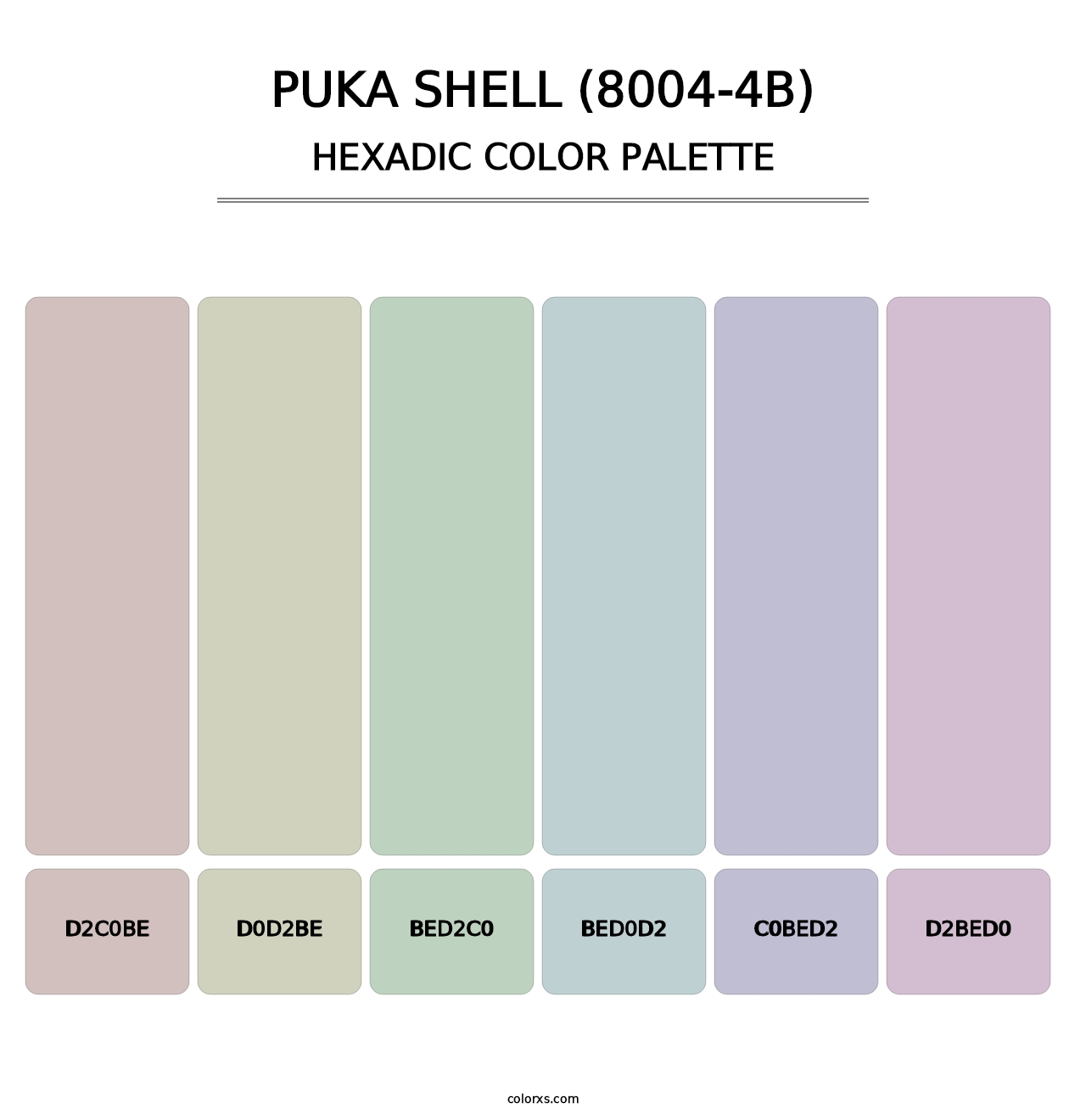 Puka Shell (8004-4B) - Hexadic Color Palette