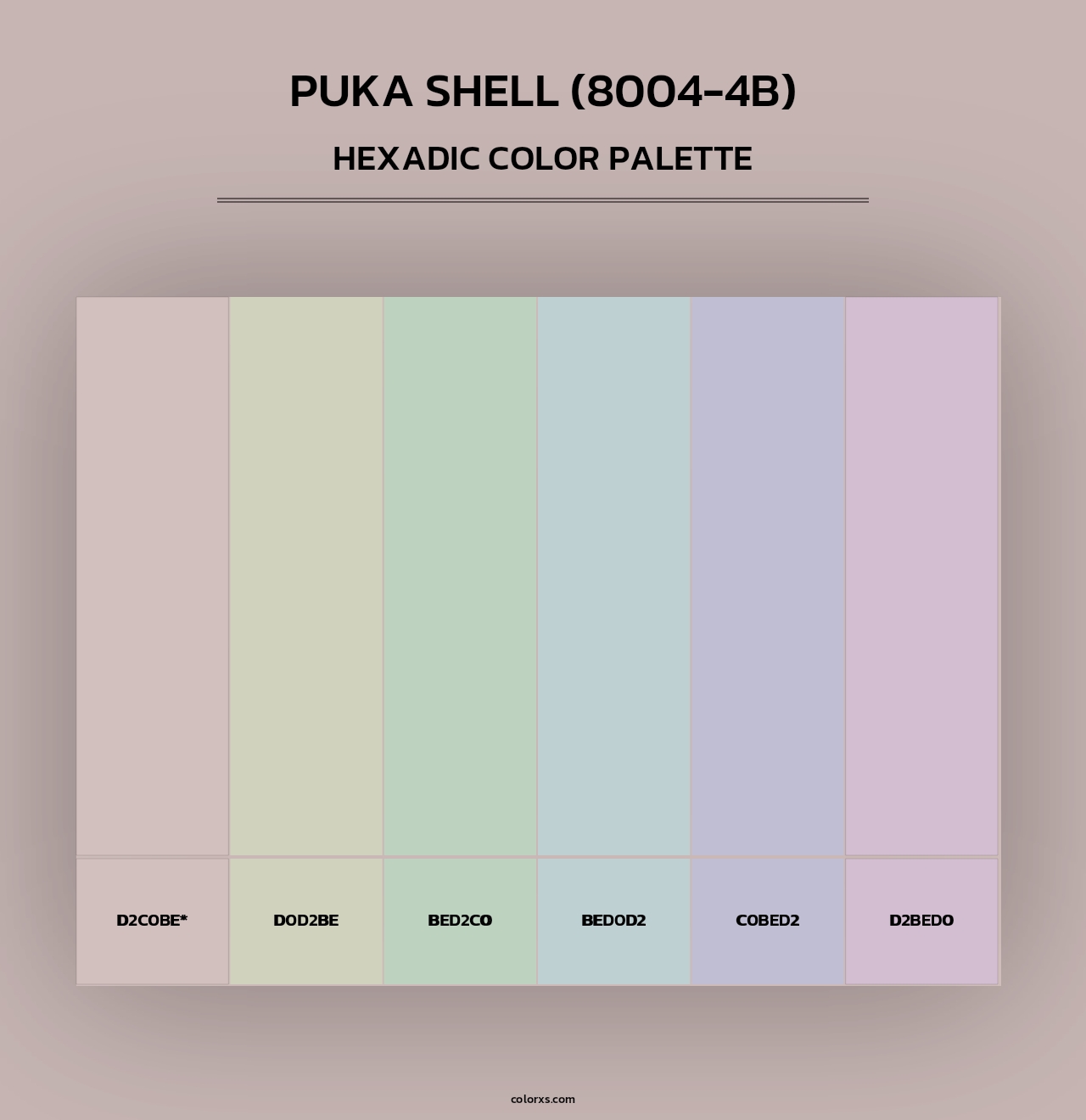 Puka Shell (8004-4B) - Hexadic Color Palette