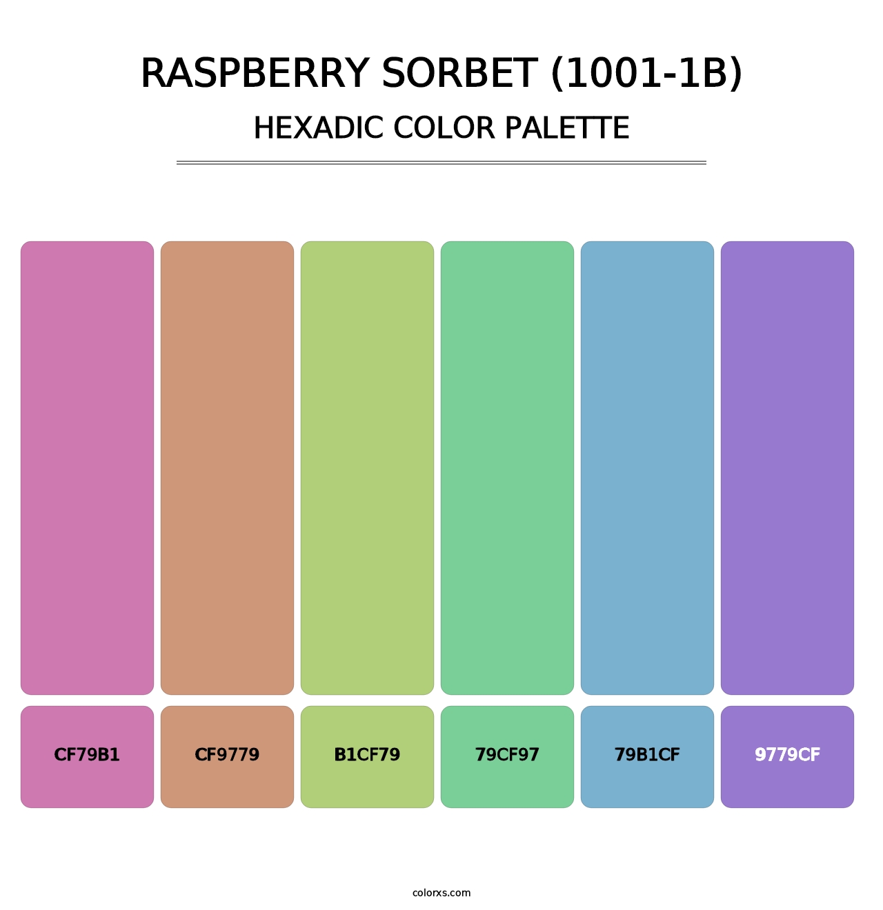 Raspberry Sorbet (1001-1B) - Hexadic Color Palette