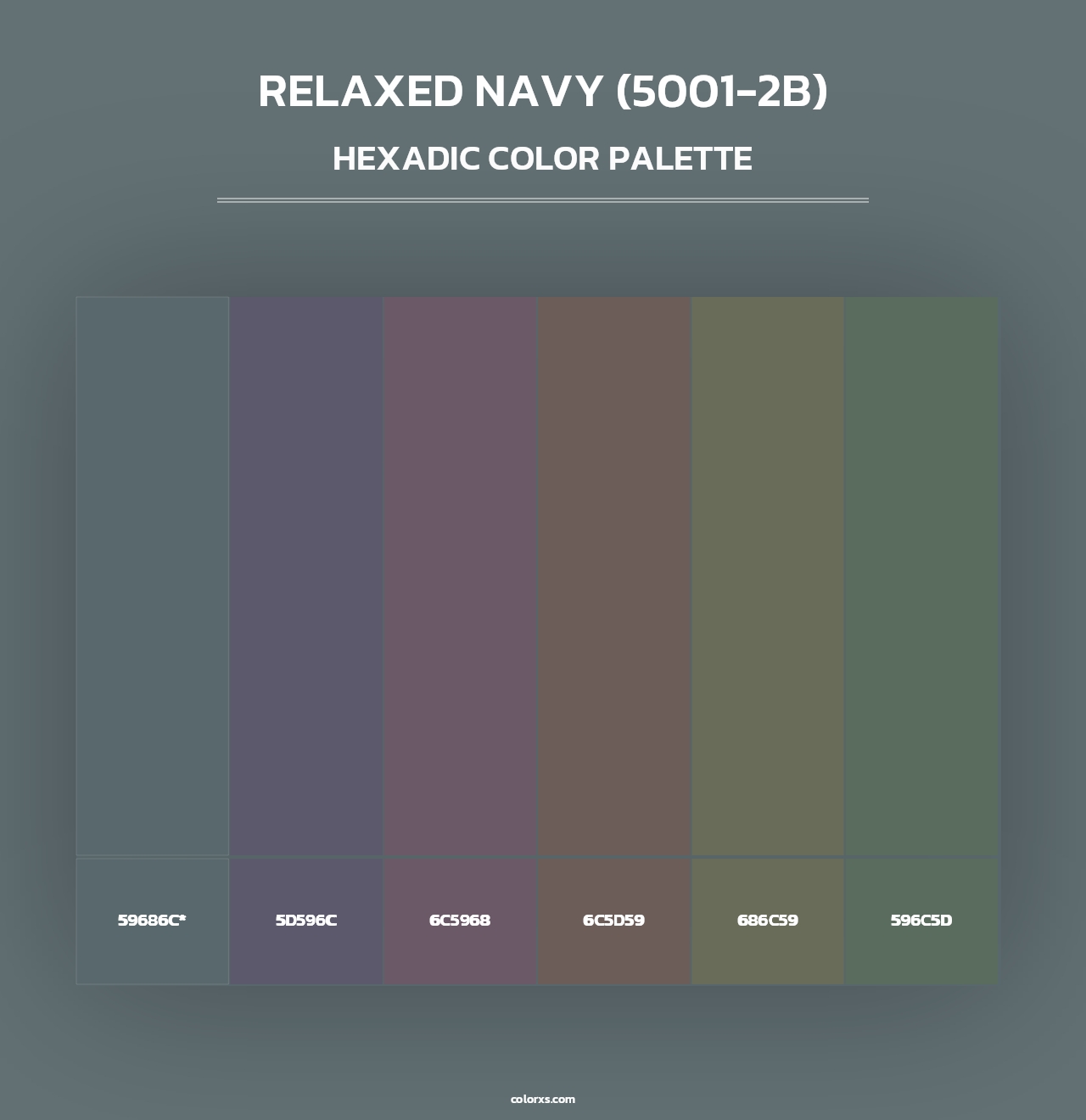 Relaxed Navy (5001-2B) - Hexadic Color Palette