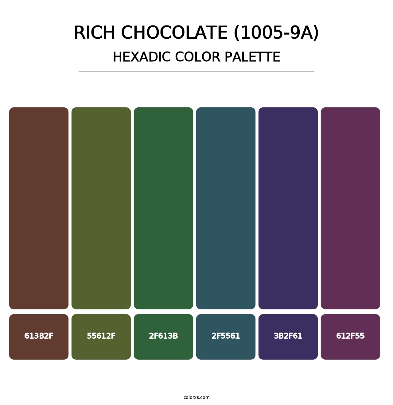 Rich Chocolate (1005-9A) - Hexadic Color Palette