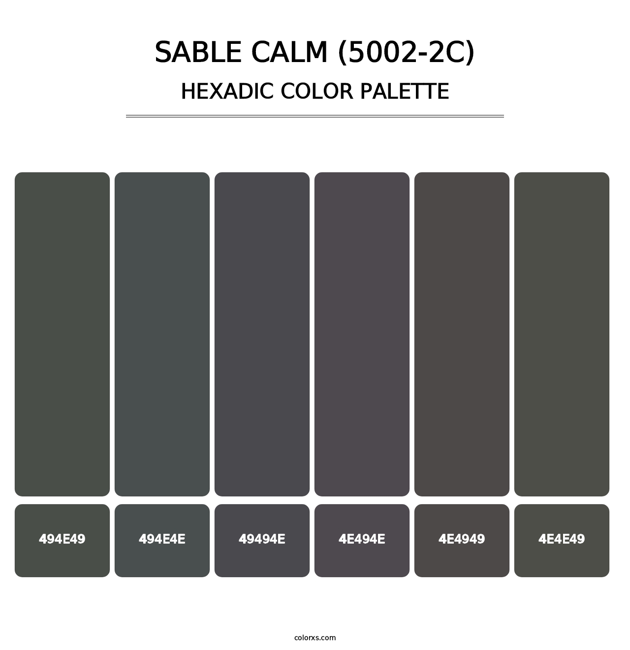 Sable Calm (5002-2C) - Hexadic Color Palette
