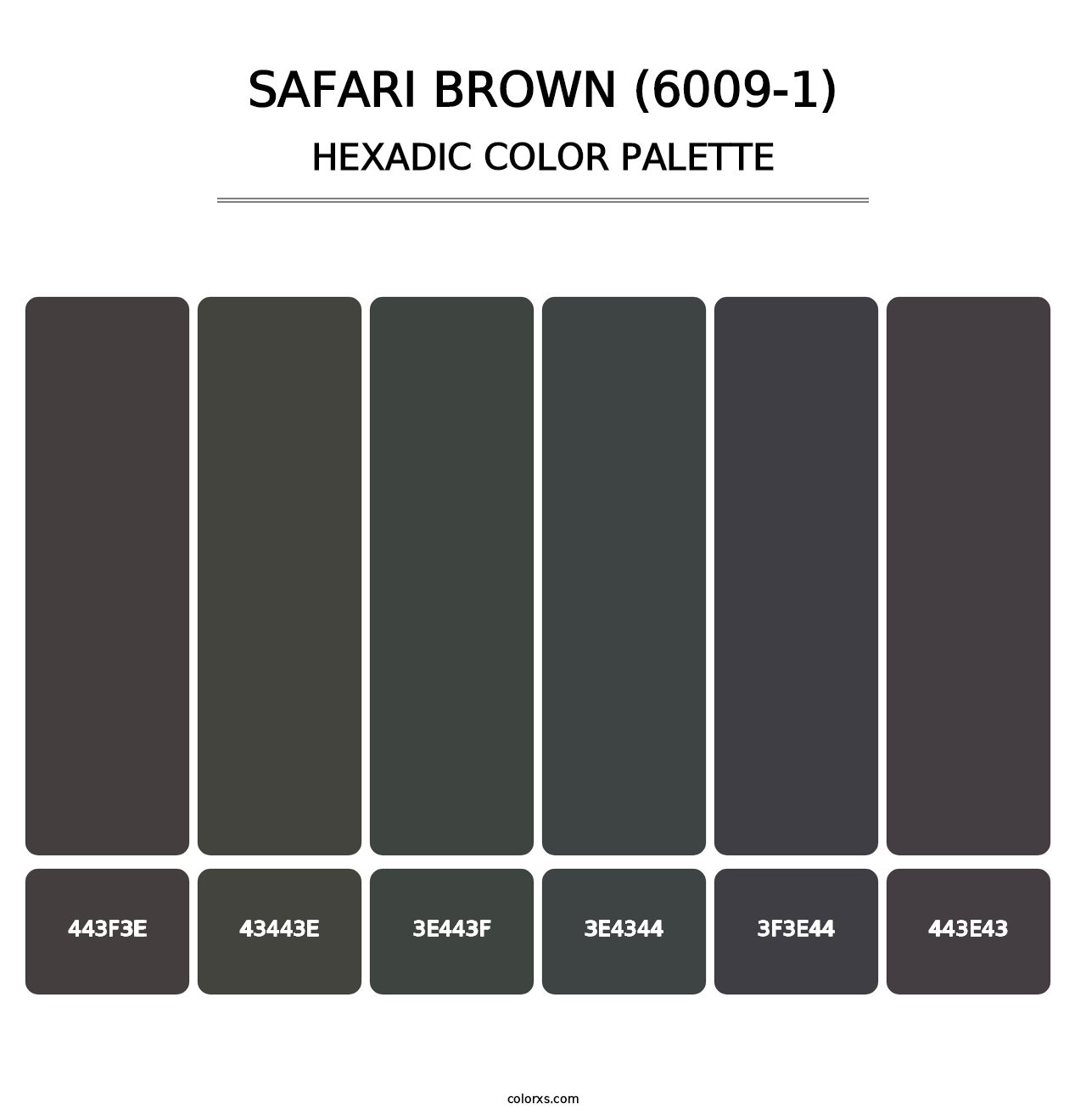 Safari Brown (6009-1) - Hexadic Color Palette