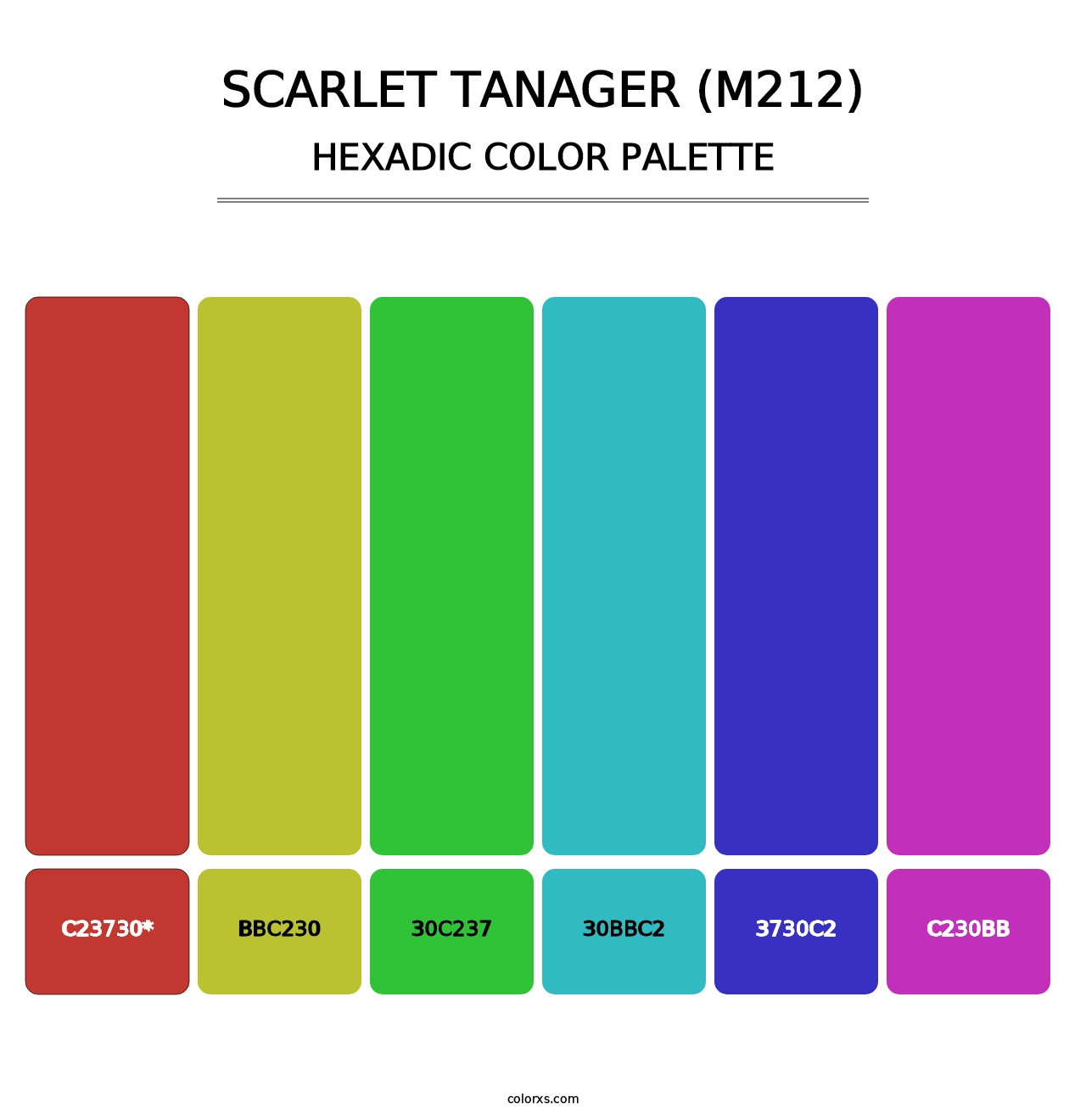 Scarlet Tanager (M212) - Hexadic Color Palette