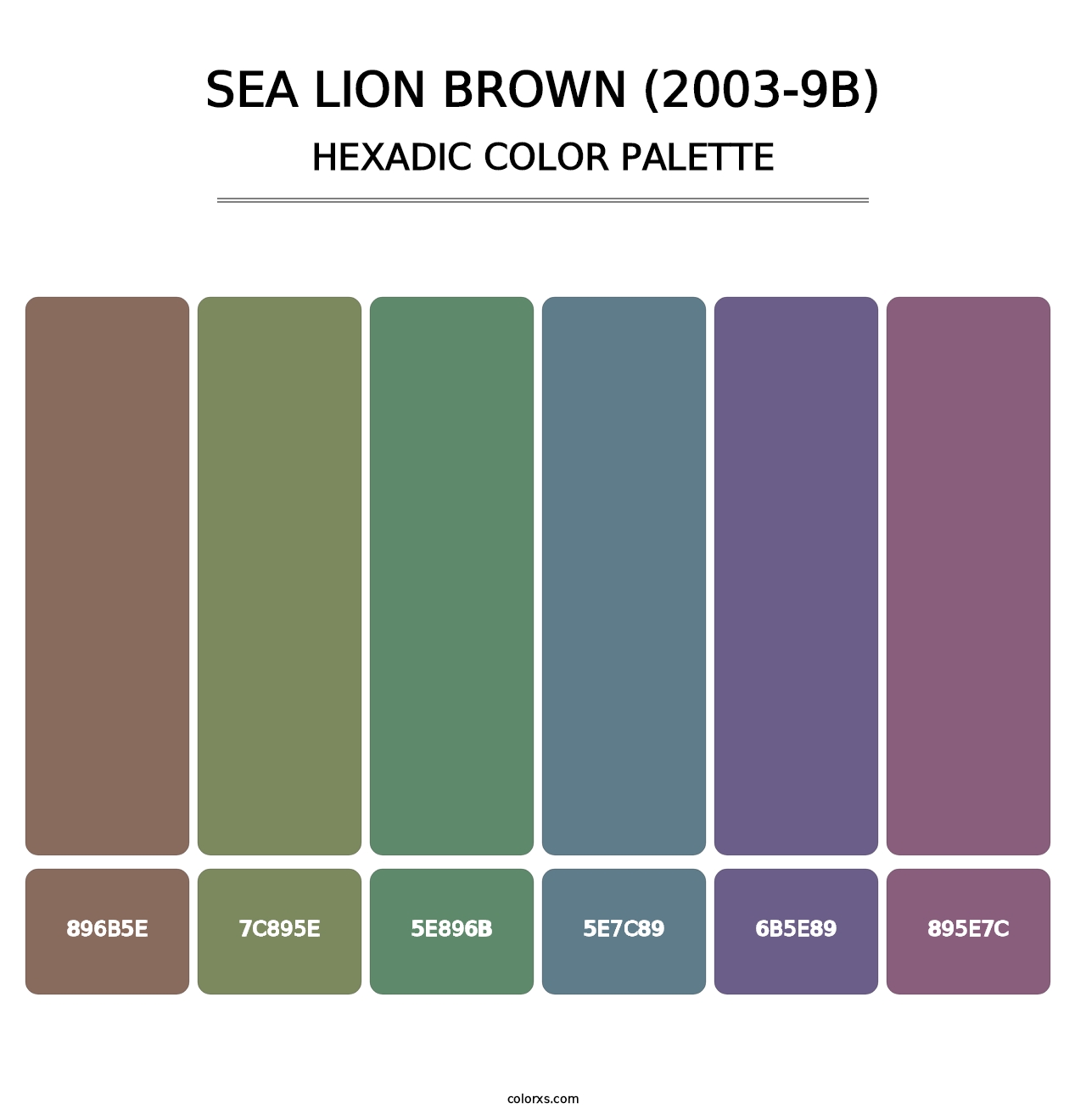 Sea Lion Brown (2003-9B) - Hexadic Color Palette