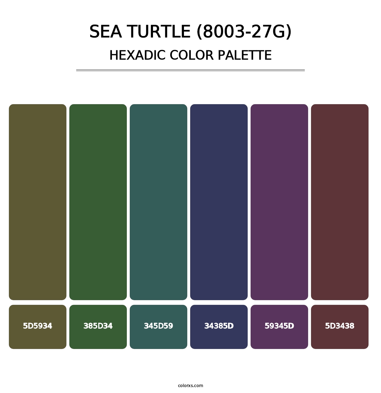 Sea Turtle (8003-27G) - Hexadic Color Palette