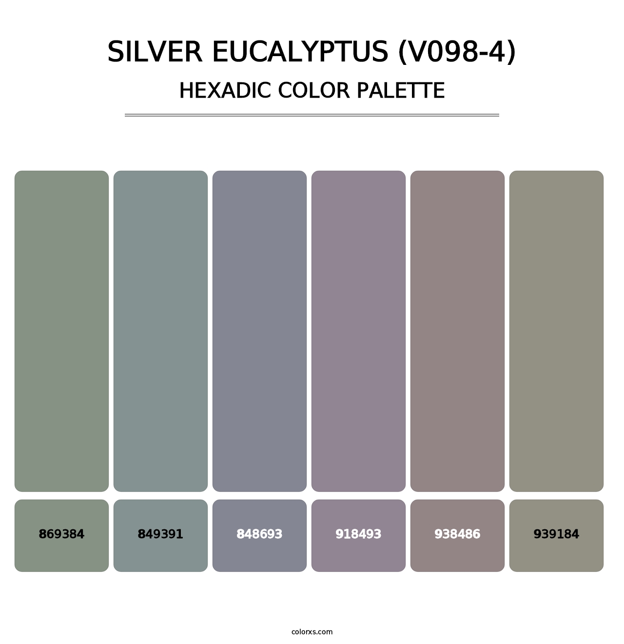Silver Eucalyptus (V098-4) - Hexadic Color Palette