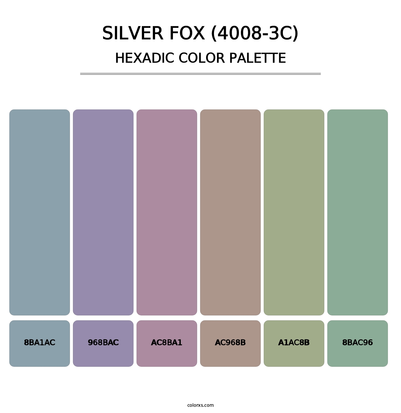 Silver Fox (4008-3C) - Hexadic Color Palette