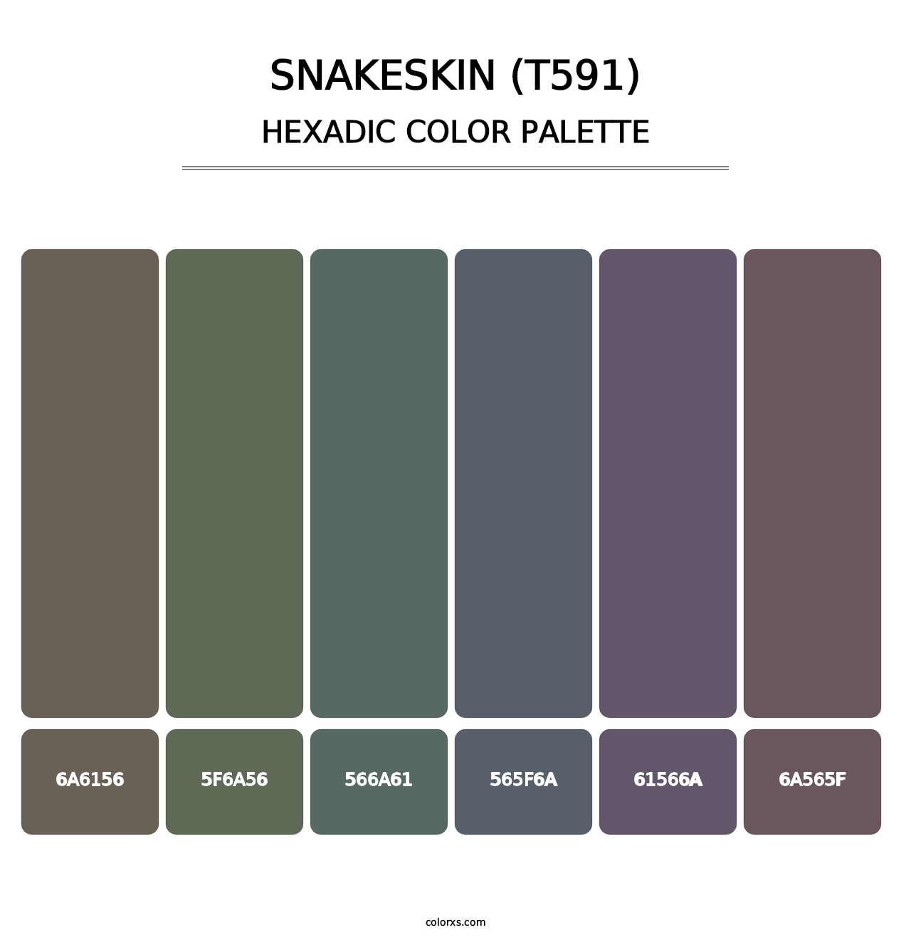 Snakeskin (T591) - Hexadic Color Palette
