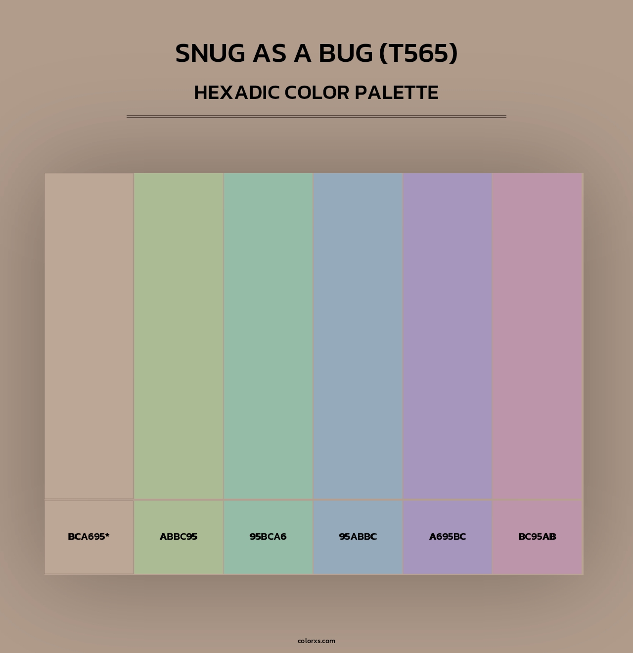 Snug as a Bug (T565) - Hexadic Color Palette