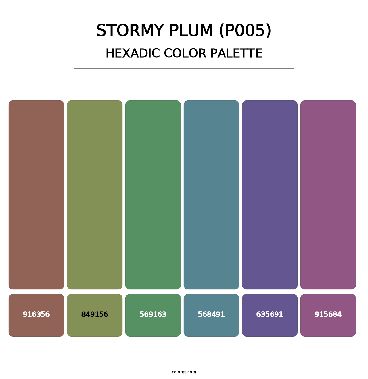 Stormy Plum (P005) - Hexadic Color Palette