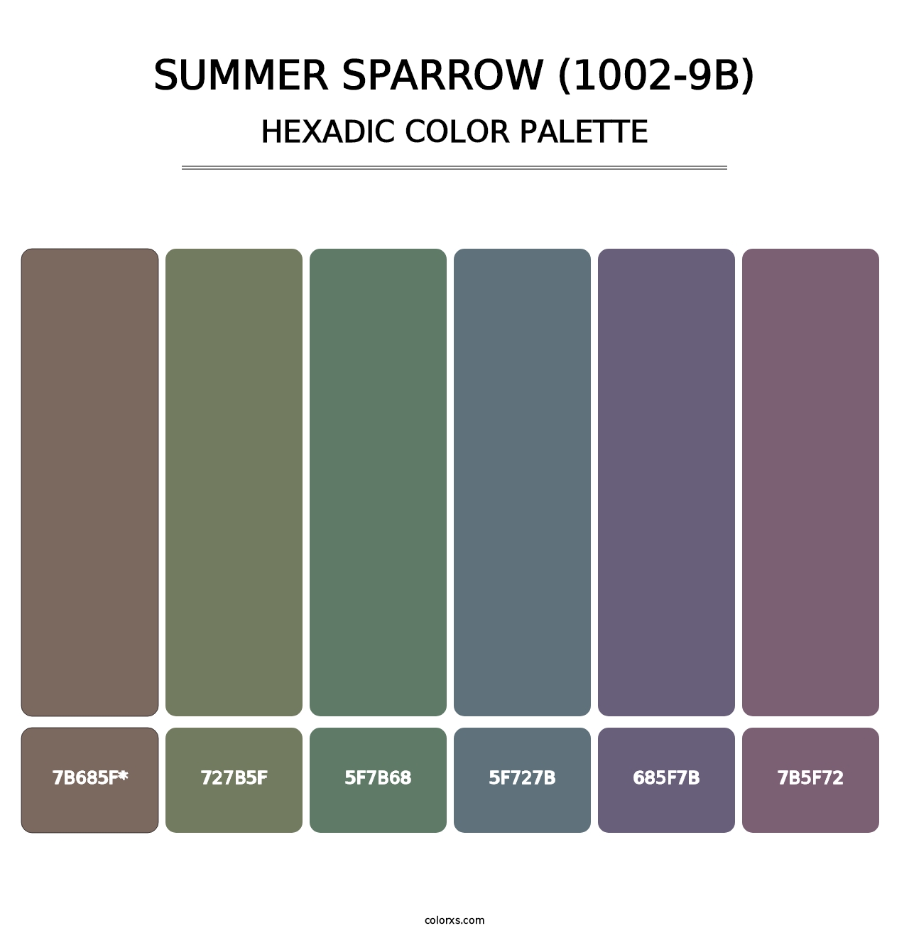 Summer Sparrow (1002-9B) - Hexadic Color Palette