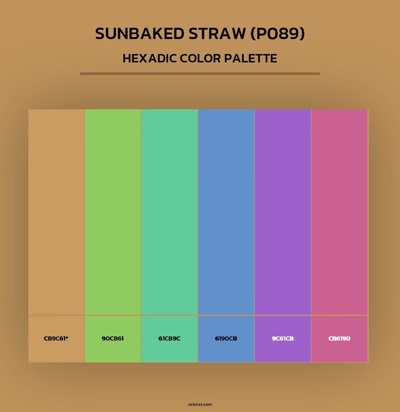 Sunbaked Straw (P089) - Hexadic Color Palette