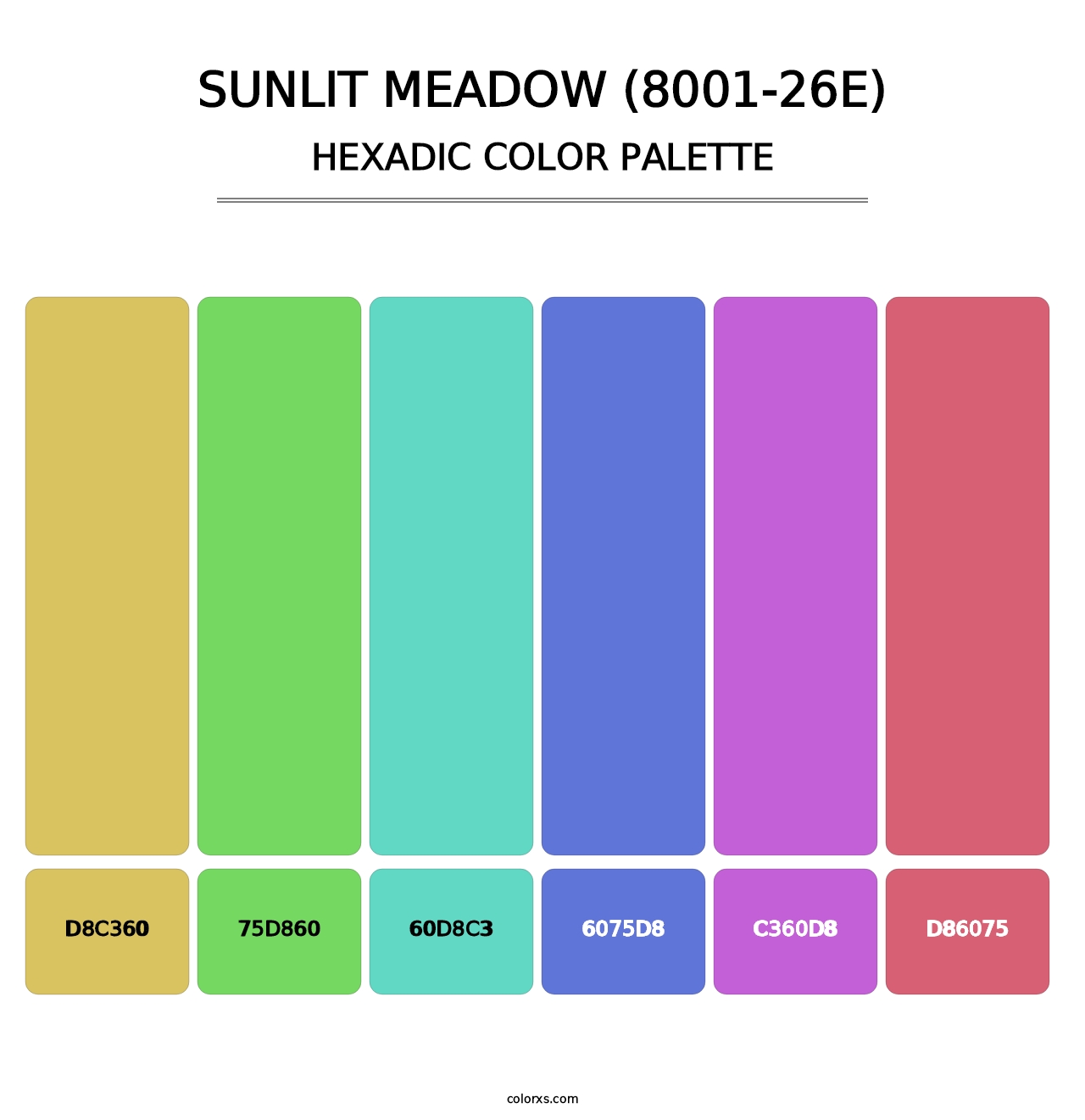 Sunlit Meadow (8001-26E) - Hexadic Color Palette